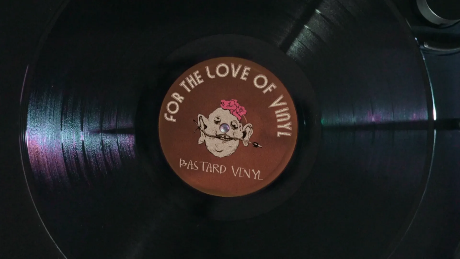 For the Love of Vinyl
